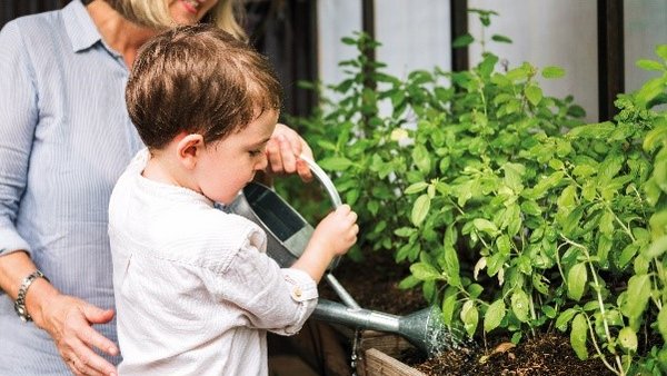 Eine ältere Frau hilft einem kleinen Jungen beim Pflanzengießen