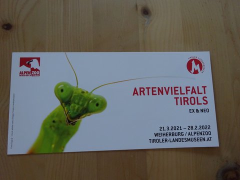 Flyer zur Veranstaltung mit Insekt als Titelbild