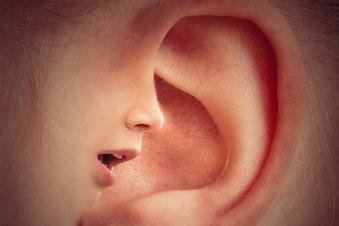 Abbildung eines Ohres
